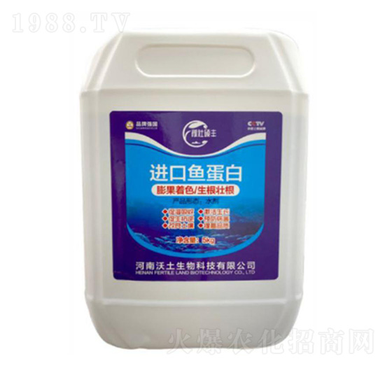 �M(j��n)���~����-�ډѴT�S-��������