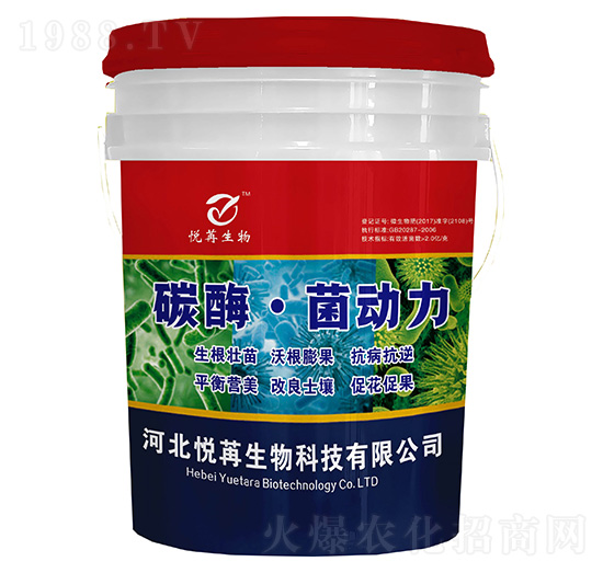 碳酶菌動力-悅苒