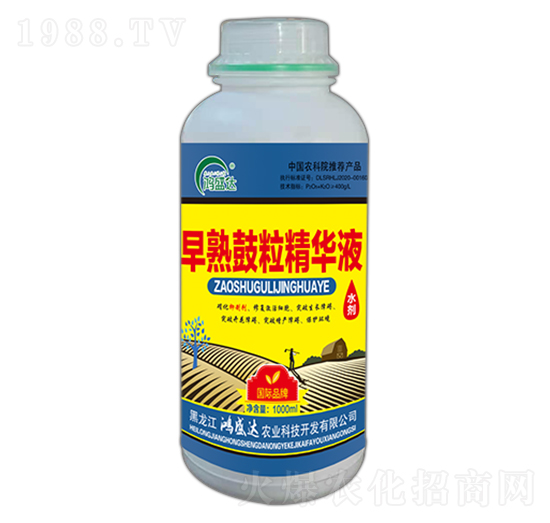 早熟鼓粒精華液-鴻盛達