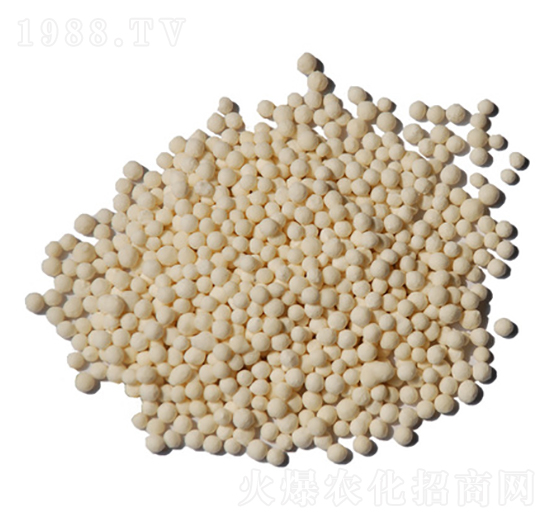 �w���\��-ïʩ����