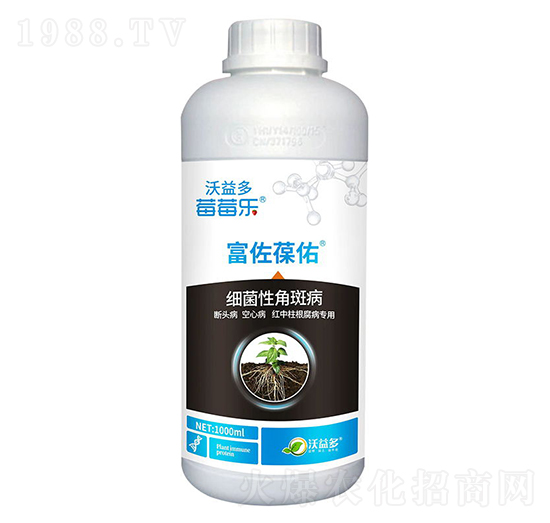 細(xì)菌性角斑病-富佐葆佑-莓莓樂(lè)-沃益多