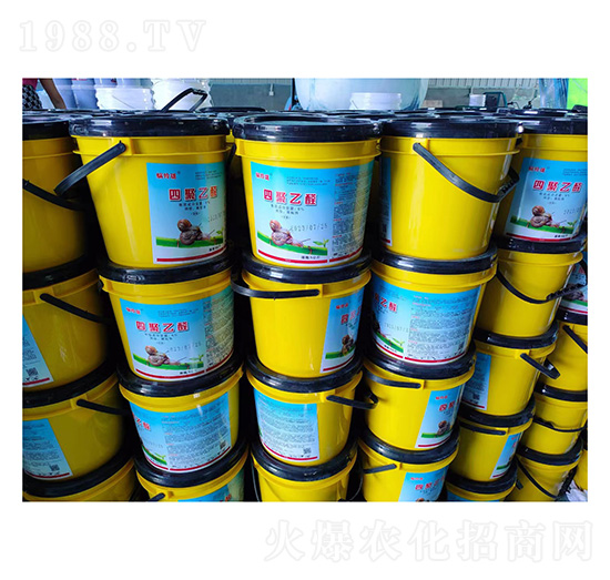 6%�ľ���ȩ�w����-΁�ᭇ-����ֲ��