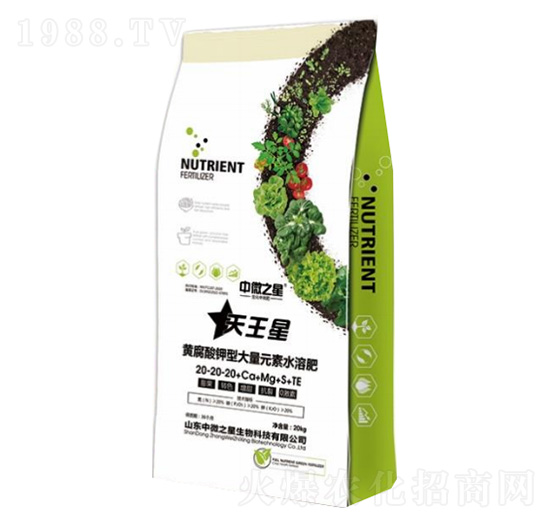 黃腐酸鉀型大量元素水溶肥20-20-20-天王星-中微之星