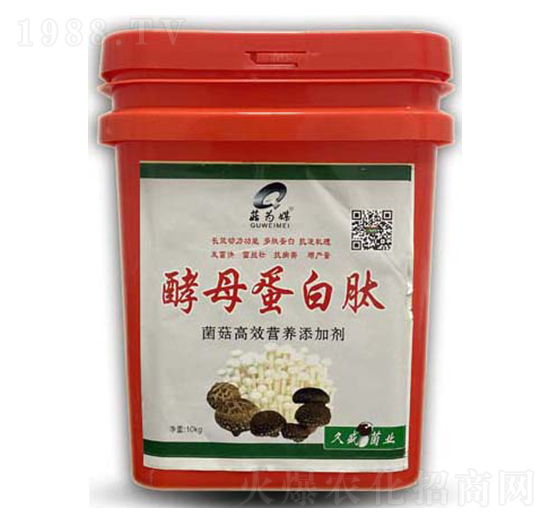 酵母蛋白肽-菇為媒-科達生物