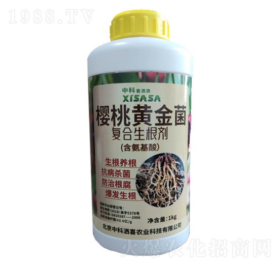 櫻桃專用黃金菌復(fù)合生根劑-中科灑喜