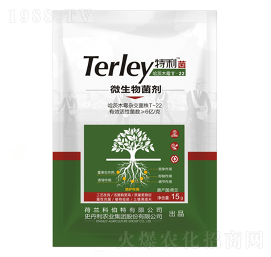 ΢�������-����ʢ-ʷ����