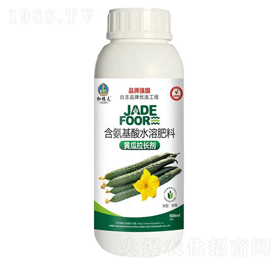 含氨基酸水溶肥料-黃瓜拉長劑-加德夫-晁群農業(yè)