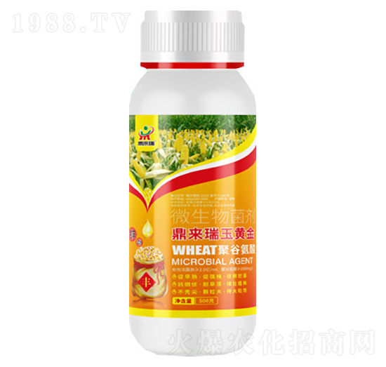 ����(l��i)�����S��΢�������-����(l��i)��