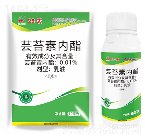 �|̦�؃�(n��i)֬-������