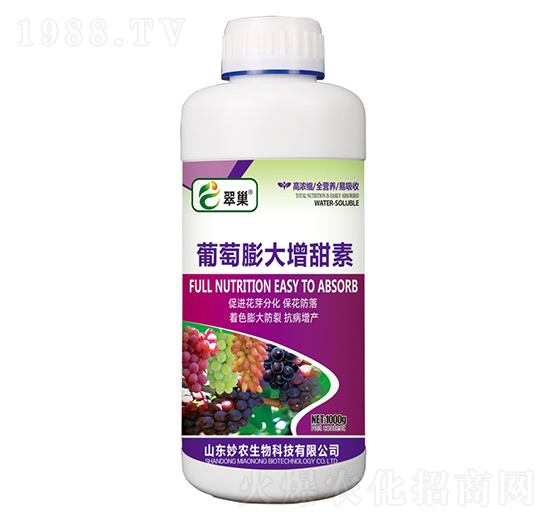 �������������-�䳲-���r����