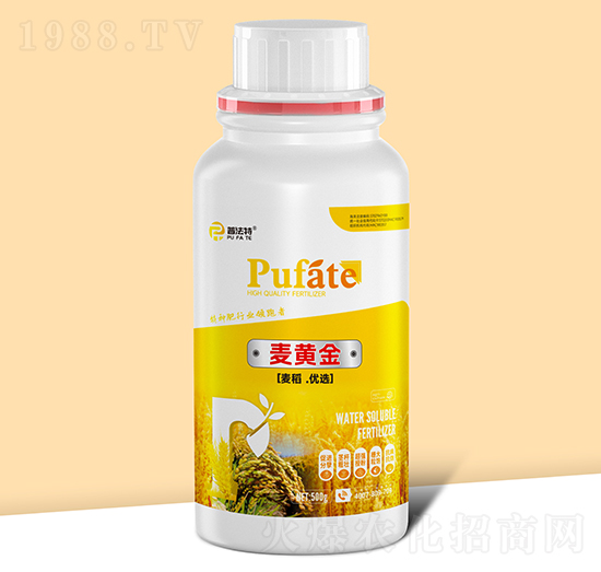 麥黃金-普法特