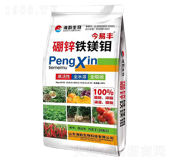 ���\�F�V�f-�����S-�������