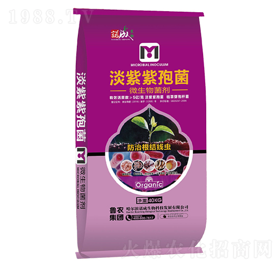 淡紫紫孢菌-諾成戰(zhàn)線-魯農集團