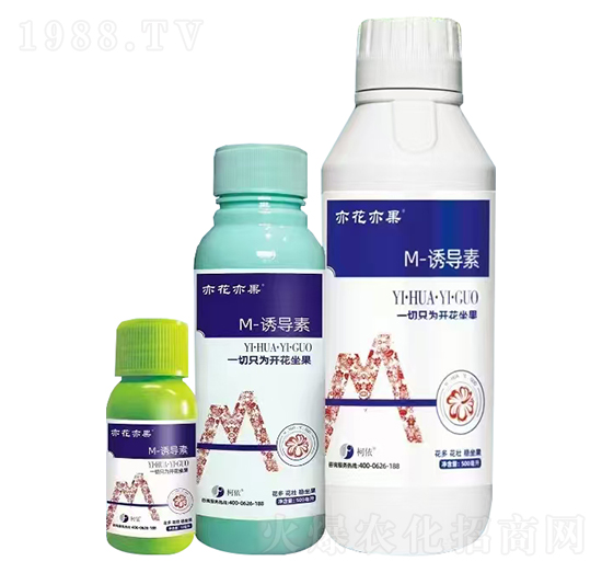 M-誘導素-亦花亦果-柯依之綠