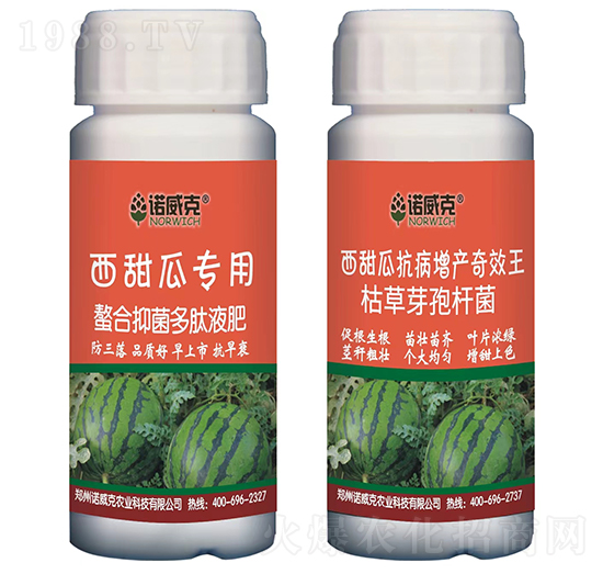 西甜瓜專(zhuān)用螯合抑菌多肽液肥+抗病增產(chǎn)奇效王-諾威克