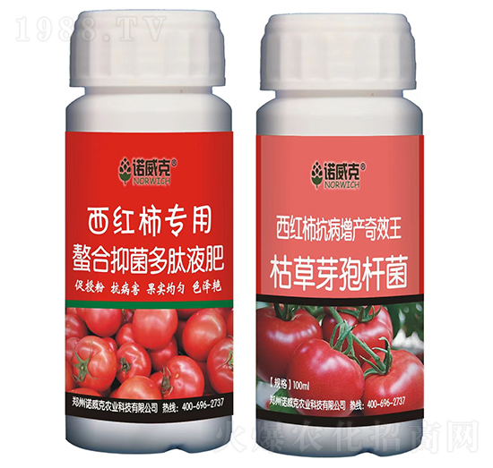 西紅柿專用螯合抑菌多肽液肥+西紅柿抗病增產(chǎn)奇效王-諾威克