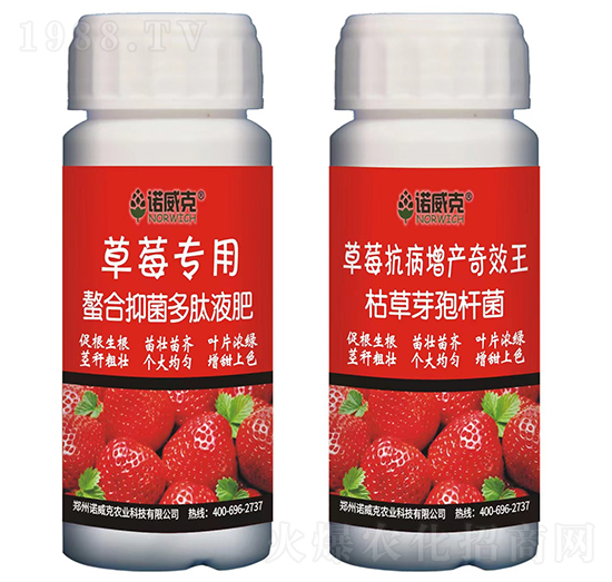 草莓專用螯合抑菌多肽液肥+草莓抗病增產(chǎn)奇效王-諾威克