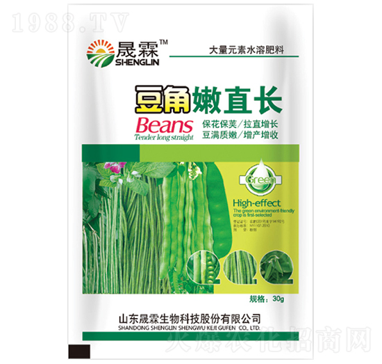 豆角嫩直長-晟霖生物
