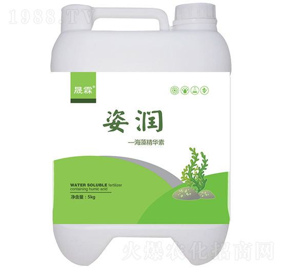 姿潤海藻精華素-晟霖生物