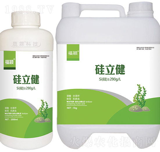 硅立健-晟霖生物