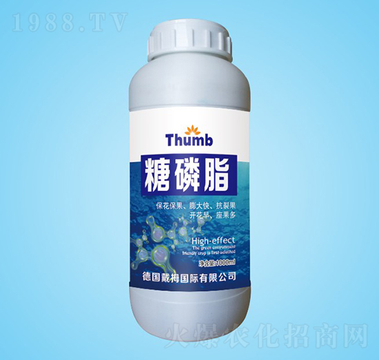 ����֬-����r�I(y��)