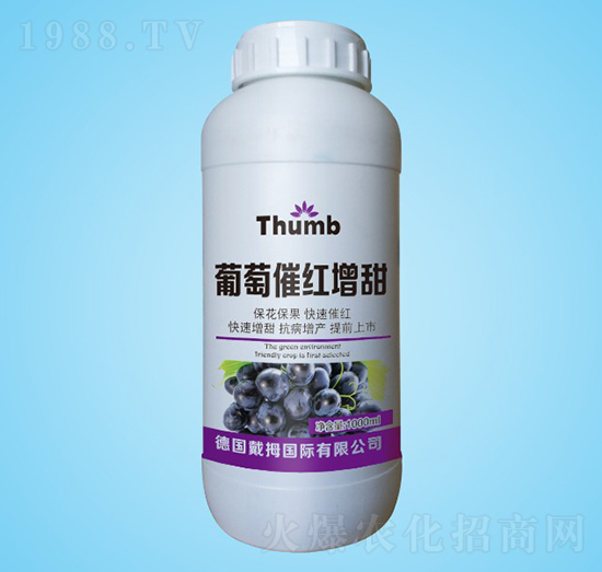 ���Ѵ߼t����-����r(n��ng)�I(y��)