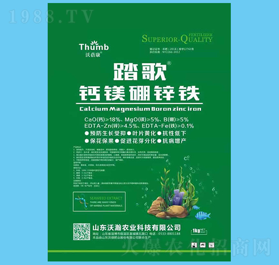 �}�V���\�F-̤��-����r�I(y��)