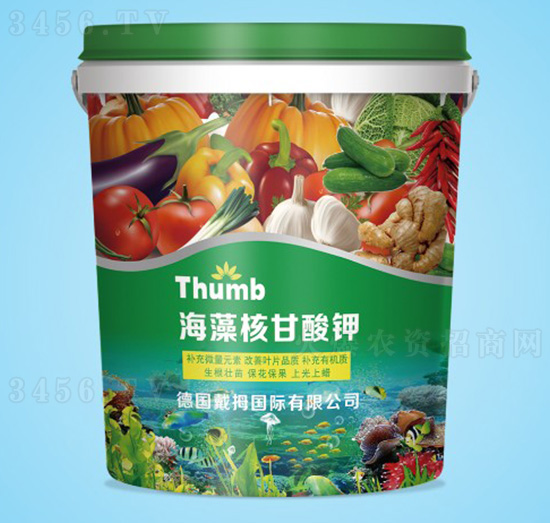 ���������⛣�Ͱ��-����r(n��ng)�I(y��)