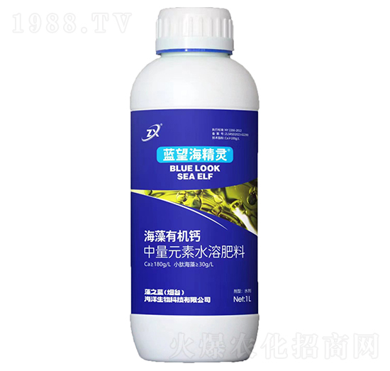 海藻有機鈣-藍望海精靈-藻之藍