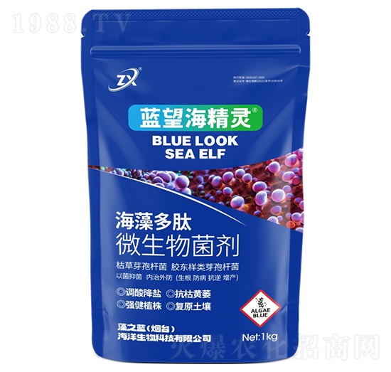 海藻多肽微生物菌劑-藍(lán)望海精靈-藻之藍(lán)