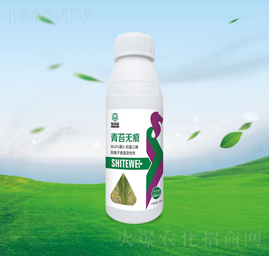 ��̦�o(w��)��-ʩ����