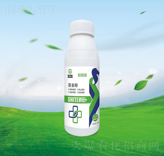 ����-���P��-ʩ����