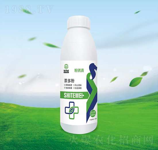 1000ml茶多酚-粉銹清-施特威