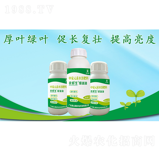 綠油油中量元素水溶肥料-農鮮生-康土康田