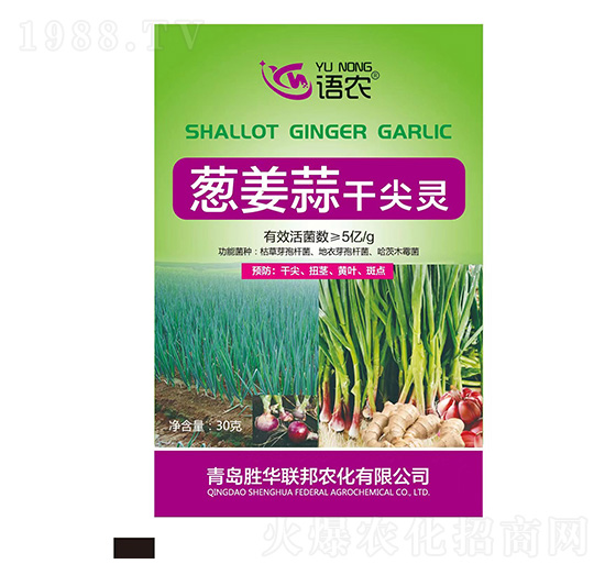 蔥姜蒜干尖靈-語農-勝華聯(lián)邦