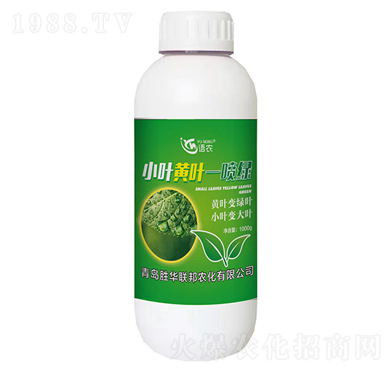 小葉黃葉—噴綠-語(yǔ)農(nóng)-勝華聯(lián)邦