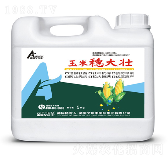 玉米穗大壯-雨露艾爾豐