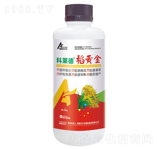 稻黃金-科萊德-雨露艾爾豐