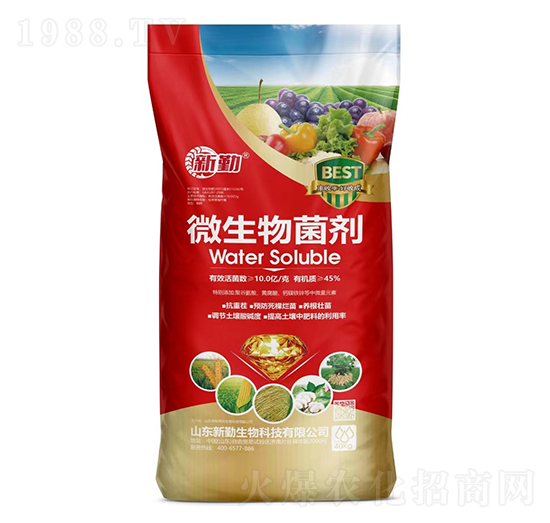 10�|���΢�������-����