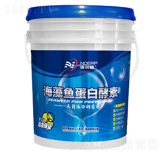 海藻魚(yú)蛋白酵素-諾爾普