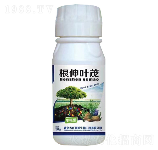 根伸葉茂-生根型-谷氏雨航