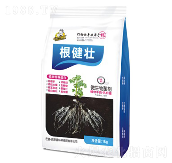 根健壯-微生物菌劑-巴斯福