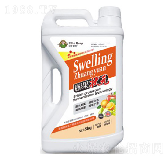 膨果狀元-愛丁邦普