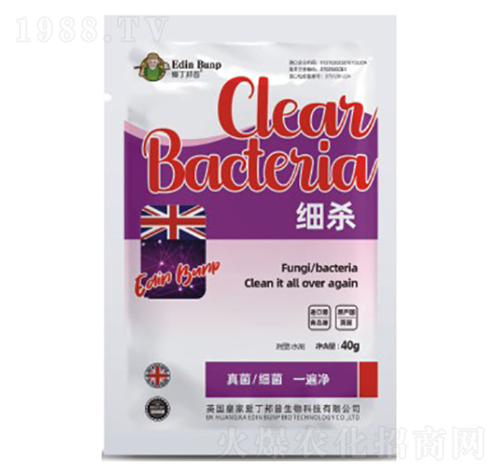 細(xì)殺-愛(ài)丁邦普