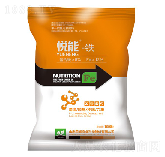 �����F-�sҫ�r(n��ng)�I(y��)