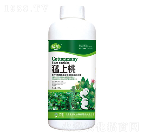 ������-����-�sҫ�r(n��ng)�I(y��)