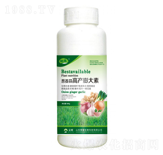 �[����߮a(ch��n)����أ�500g��-����-�sҫ�r(n��ng)�I(y��)