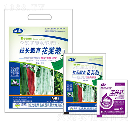拉長嫩直花莢飽-進萃-榮耀農(nóng)業(yè)