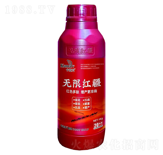 無(wú)限紅疆-卡邁夫