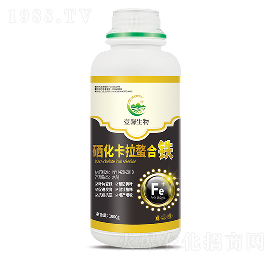 �������������F-����������